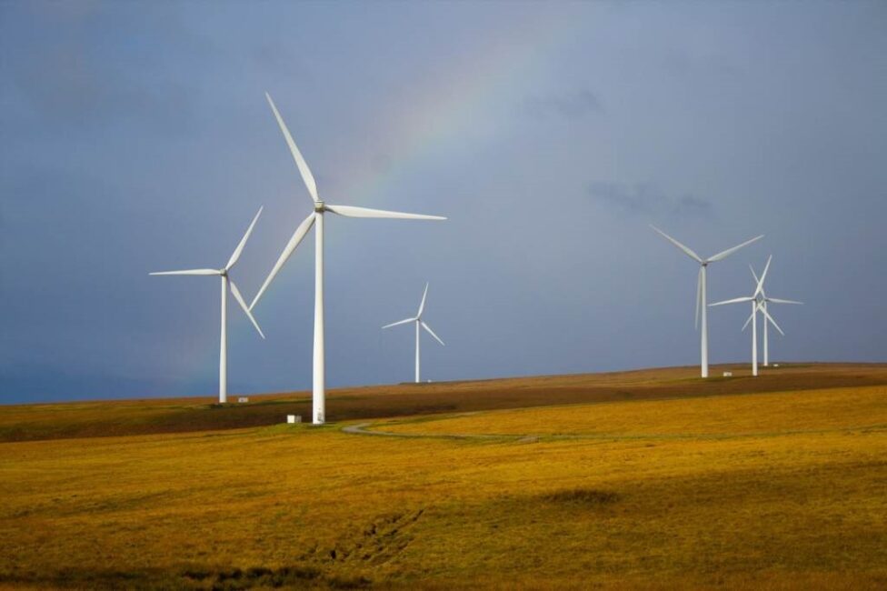 największe farmy wiatrowe na świecie